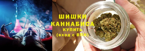 ECSTASY Белокуриха